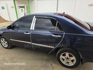 Toyota Corolla 2003 Blue
