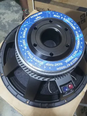 18 Inches Naked Speaker Very Very Good Quality Naked Speaker