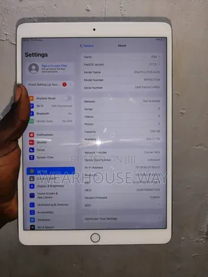 Apple iPad Pro 256 GB Silver
