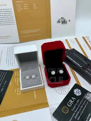 VVS Moissanite Diamond Unisex Earrings With Free Tester
