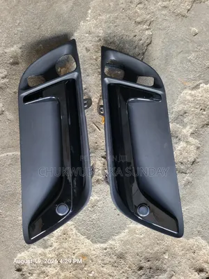 Fog Lamp Cover Rx350 2025 Model