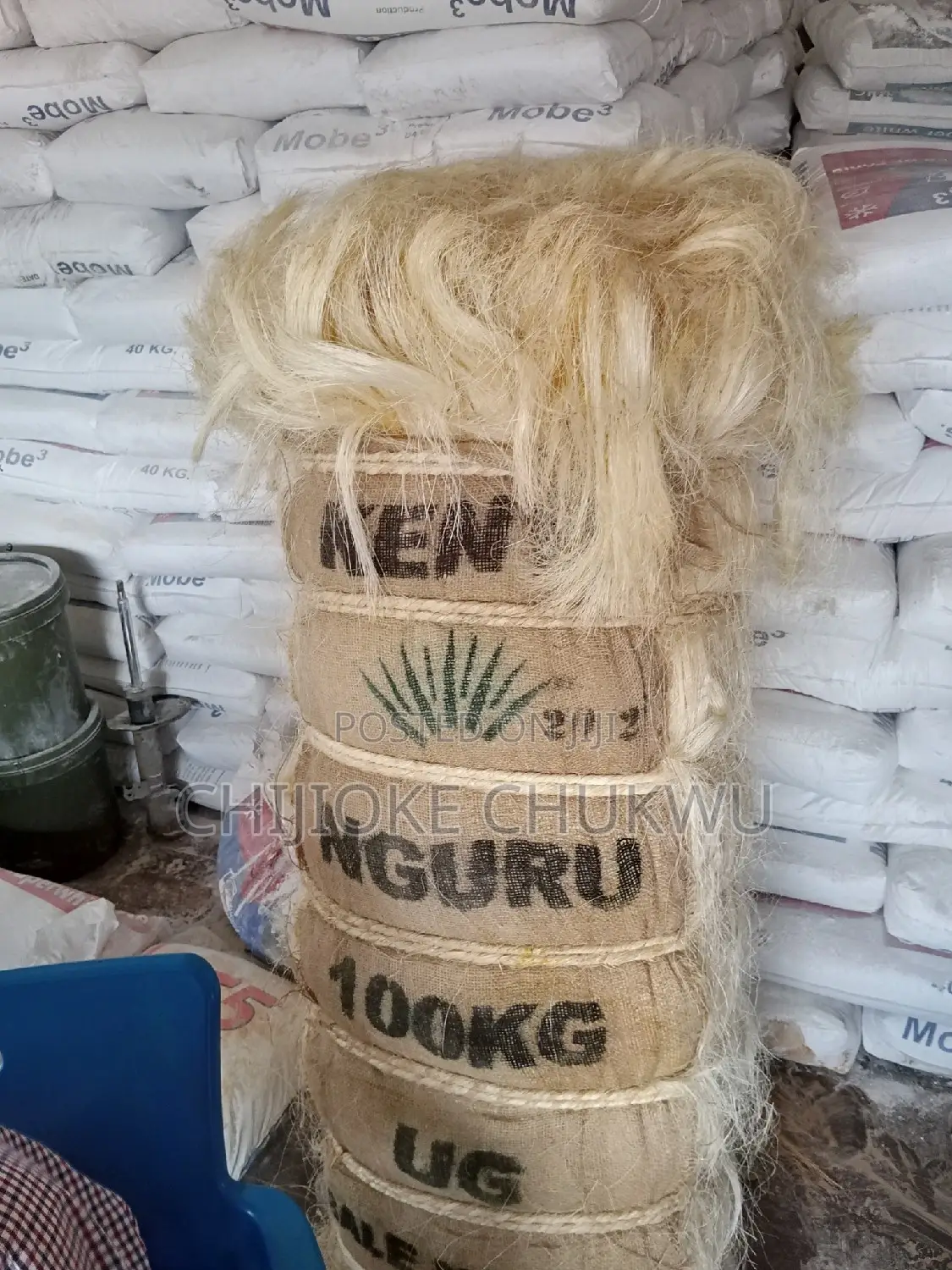 Kenya Sponch