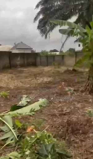 Land for Sale No More 50M But