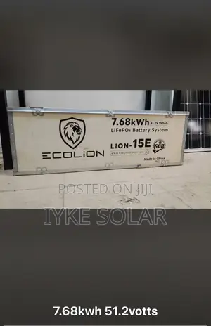 7.68kwh 48v Ecolion Lithium Ion Battery