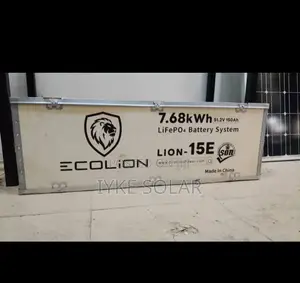 7.68kwh 48v Ecolion Lithium Ion Battery