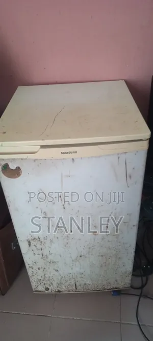 Portable Fridge