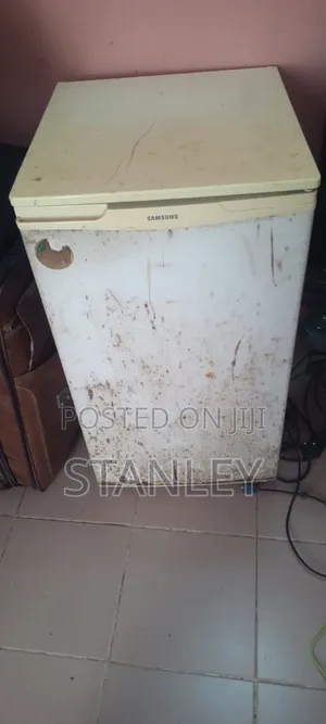 Portable Fridge