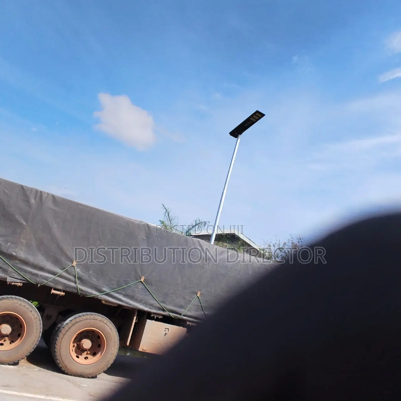 Dangote Bua Cement Distributor