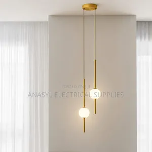 A Modern Nordic-Style 2-Head Acrylic Globe LED Pendant Light