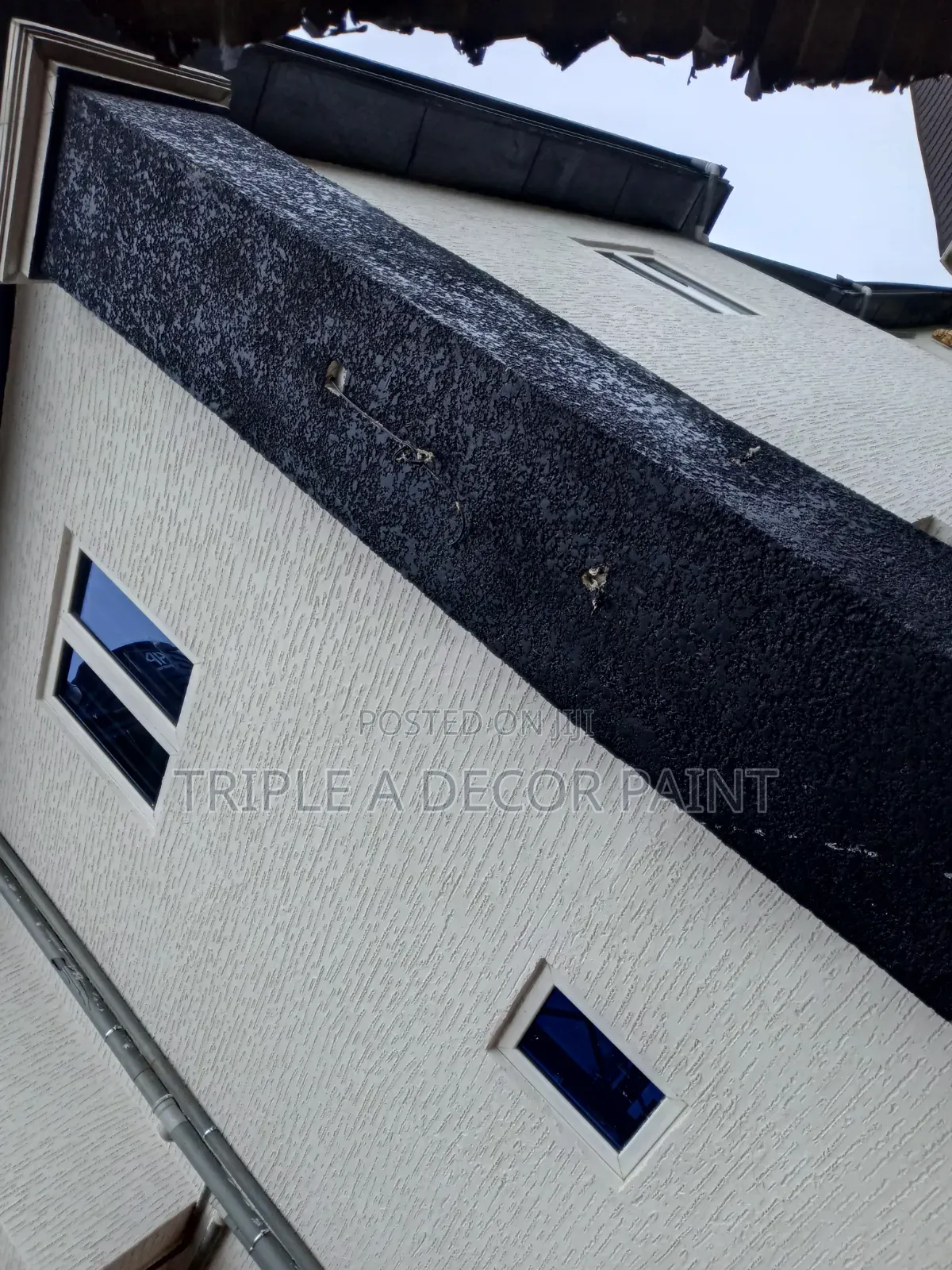 Suprime Gravitex Paint Protective Paint