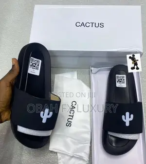 Cactus Slides Now Available in Store