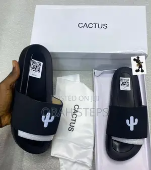 Cactus Slides Now Available in Store