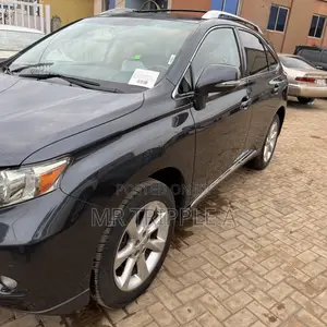 Lexus RX 2010 Gray