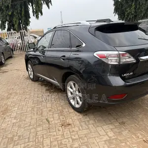 Lexus RX 2010 Gray