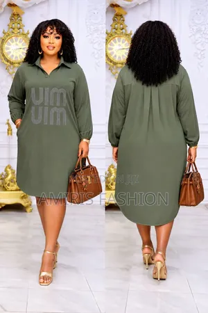 Beautiful Stylish Cola Neck Gown