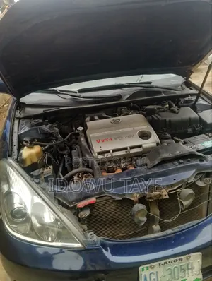 Lexus ES 350 2008 Gray