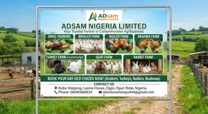 ADsam Agriculture Business