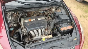 Honda Accord 2004 Red
