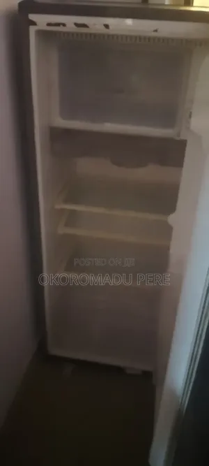 Standing Fridge