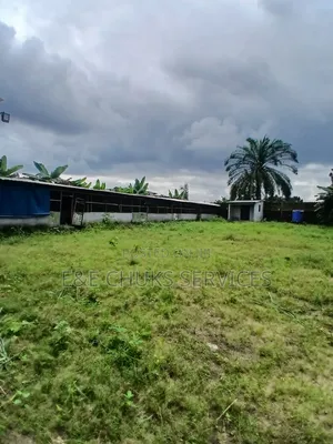 Poetry Farm With Self Con on 3 Plots of Lands for Lease at Obigbo