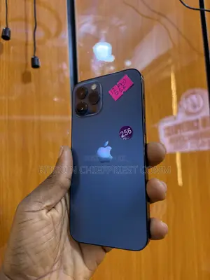 Apple iPhone 12 Pro 256 GB Blue