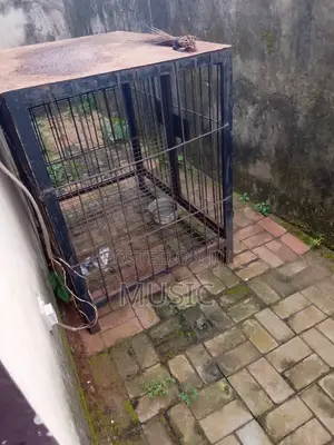 Dog Cage for Sale