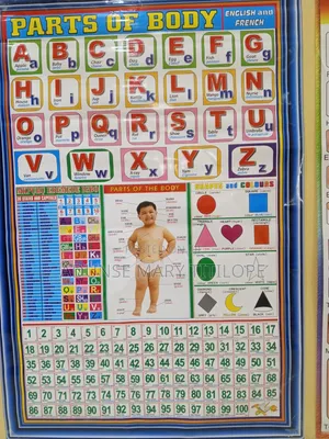 Magnetic Alphabet and Numeric Reading Box (Educational Material)