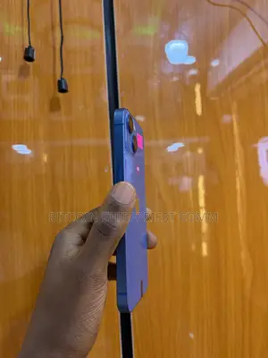 Apple iPhone 13 256 GB Blue