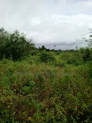 1500 Acres of Land