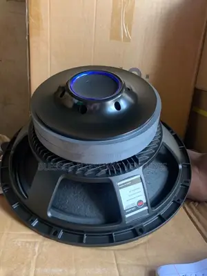 Double 15 Inches Naked Speaker