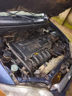 Toyota Corolla 2004 Blue