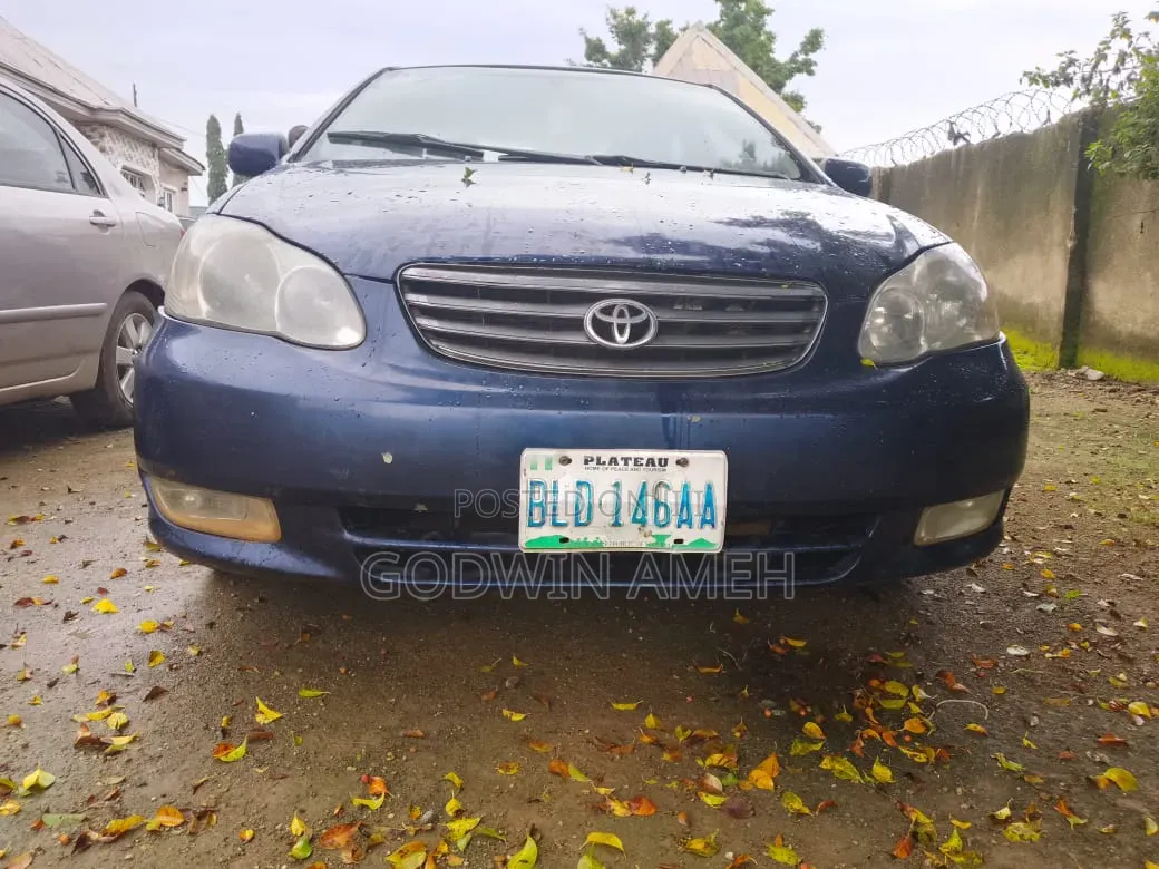 Toyota Corolla 2004 Blue
