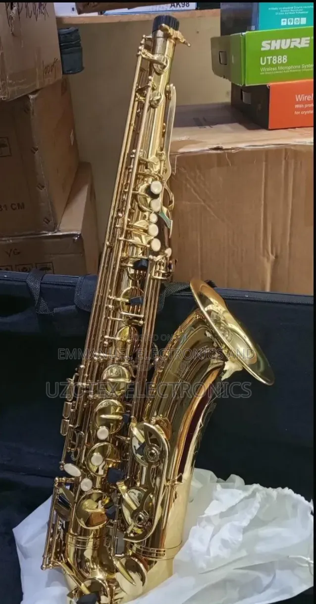 Professional Alto Saxophone
