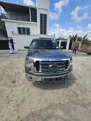 Ford F-150 2013 Silver