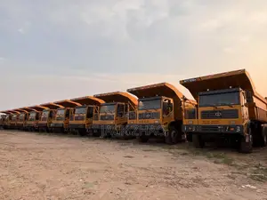 Used Wide-Body Mining Trucks