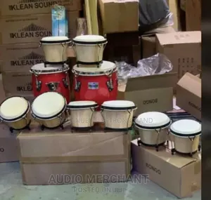 Bongo Conga Drums