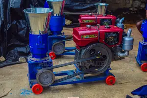 250kg/Hr Diesel Engine (2 Roller) Pelletizer Machine