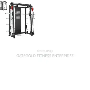 Fr810 High Grade Smith Machine (Fanatics Brand)