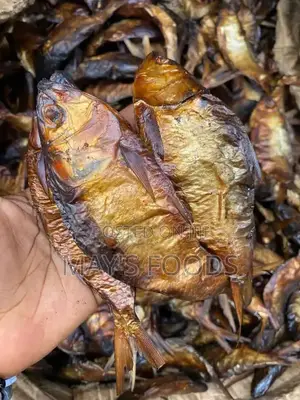 Dried Bonga Fish