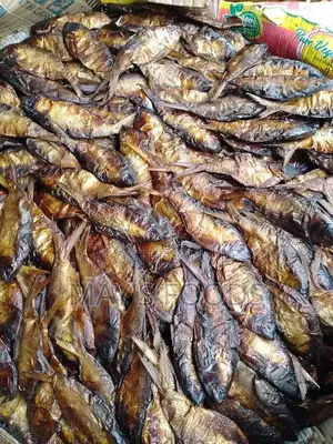 Dried Bonga Fish