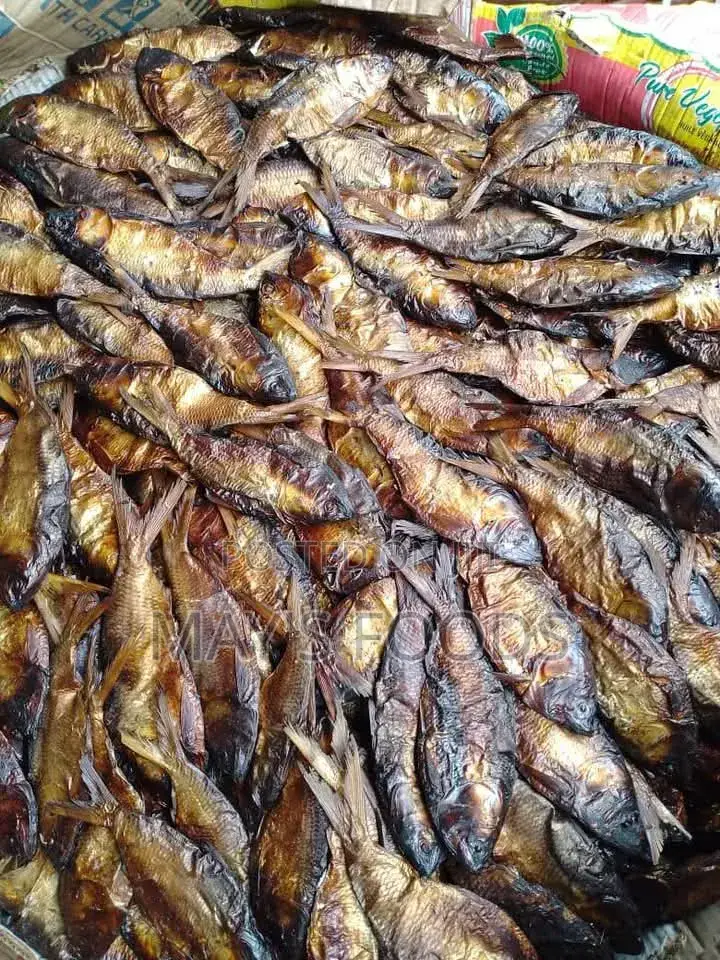 Dried Bonga Fish