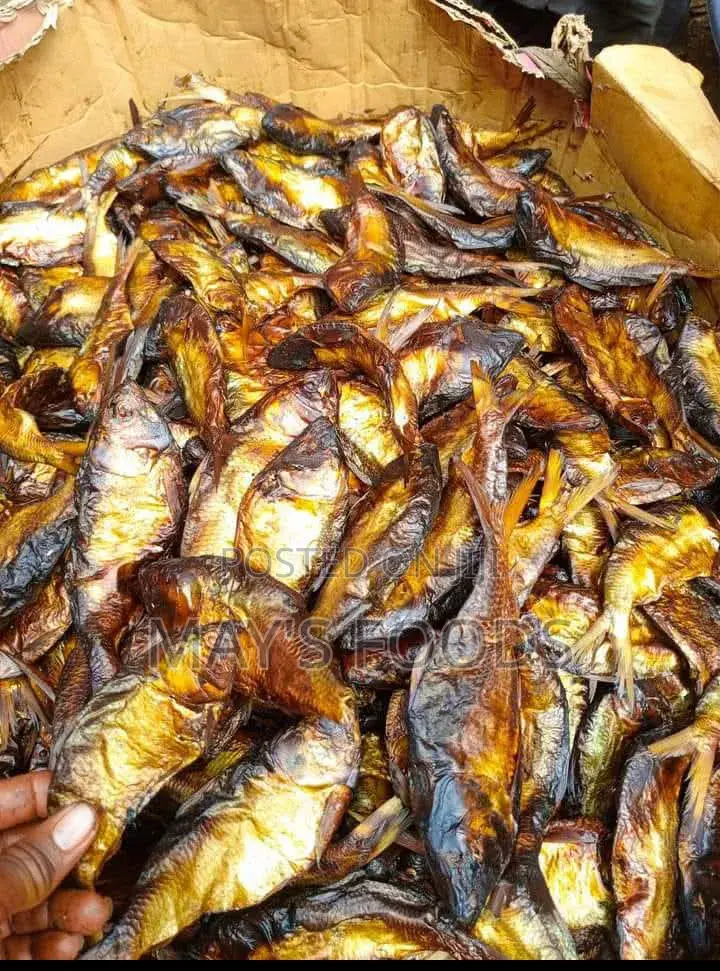 Dried Bonga Fish