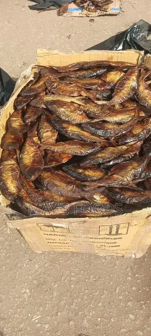 Dried Bonga Fish