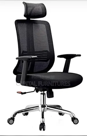 Executive Mesh Chair