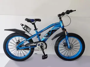20 Inches Children Bicycle