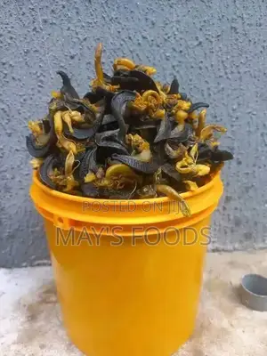 Dried Snail
