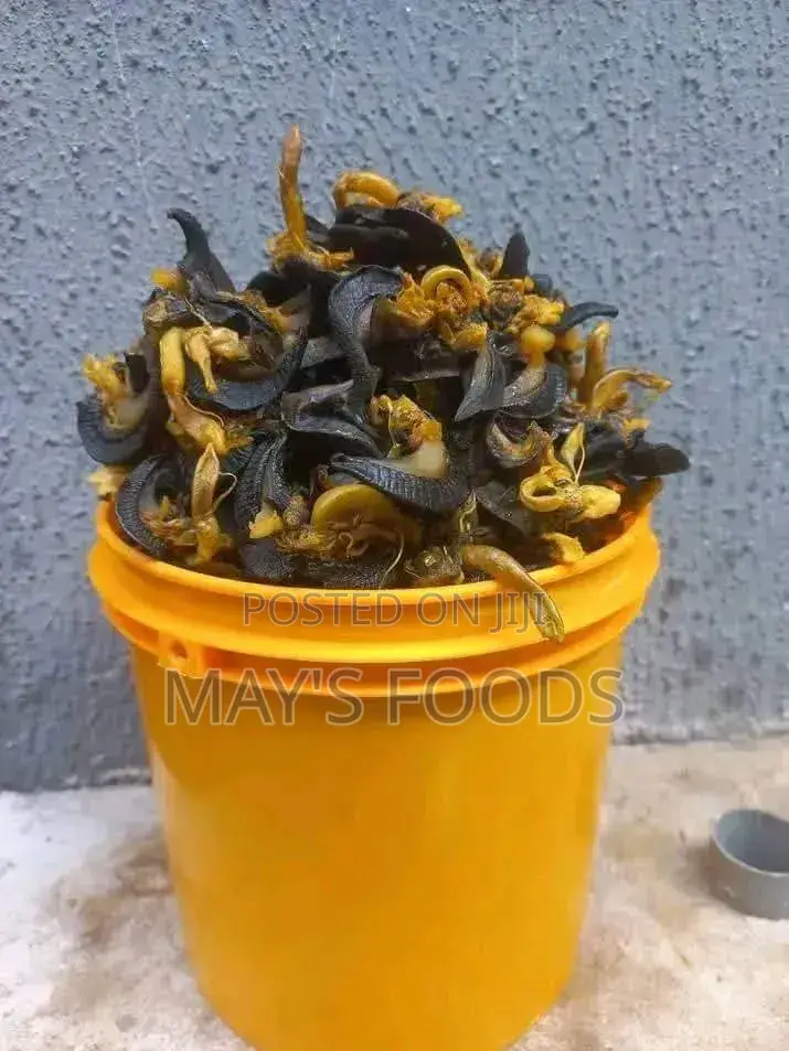 Dried Snail