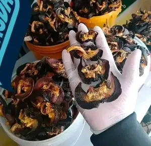 Dried Snail