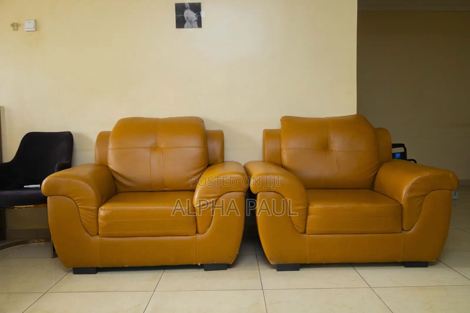 Exotic Sofa Set