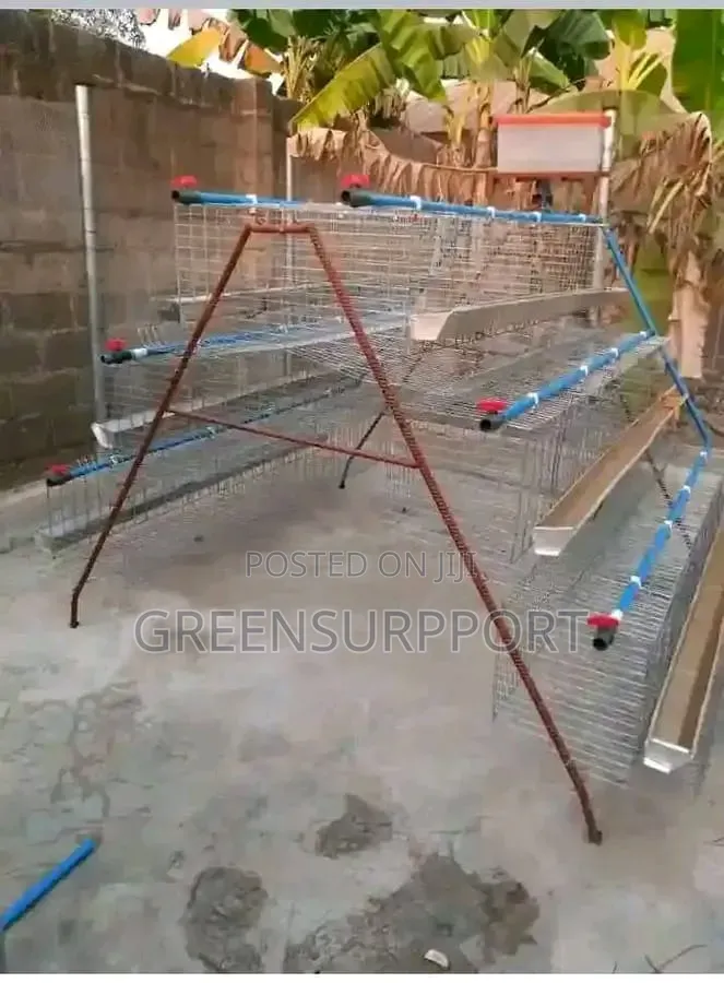 Poultry Cages